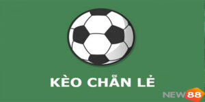 Cách đặt kèo chẵn lẻ: Bí quyết soi kèo hiệu quả cho người mới New88